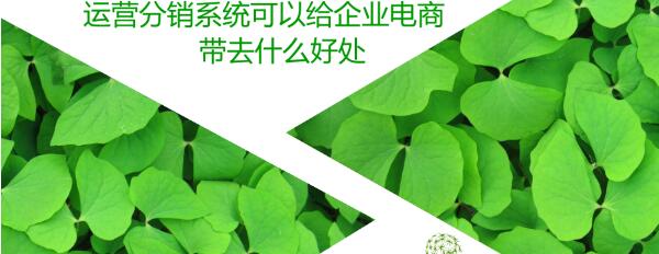 运营分销系统可以给企业电商带去什么好处