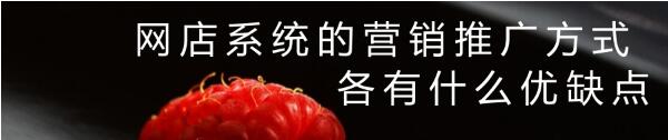 网店商城系统的营销推广方式各有什么优缺点